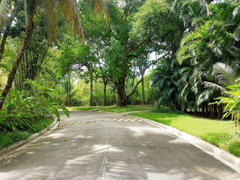 ゲートからフロントまでに続く道