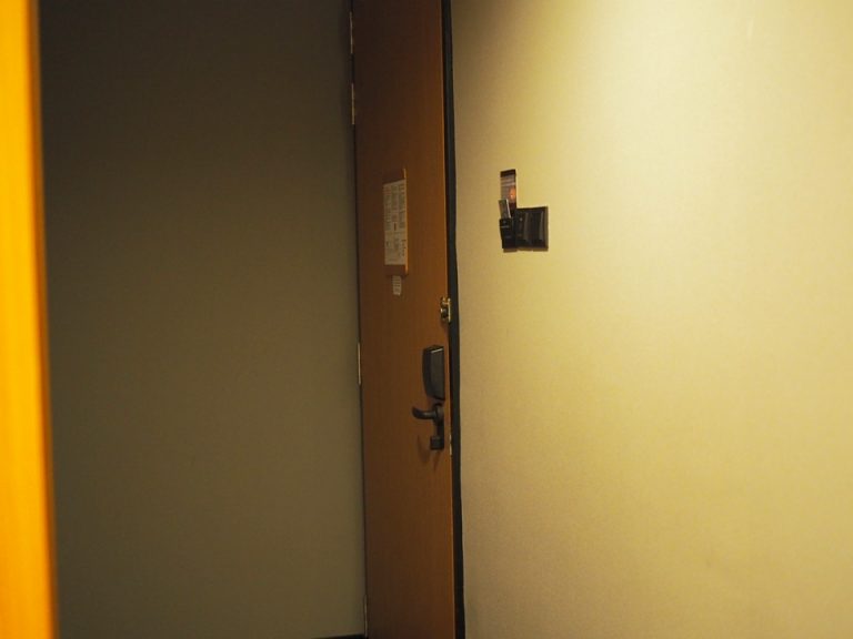 客室入口内観ドア