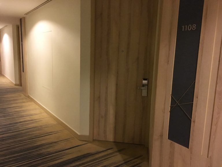 客室入口付近廊下