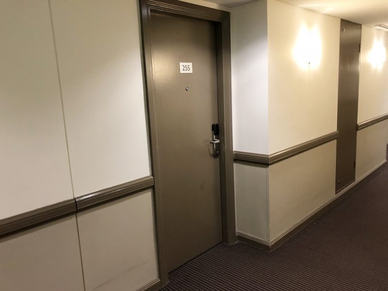 客室入口付近廊下