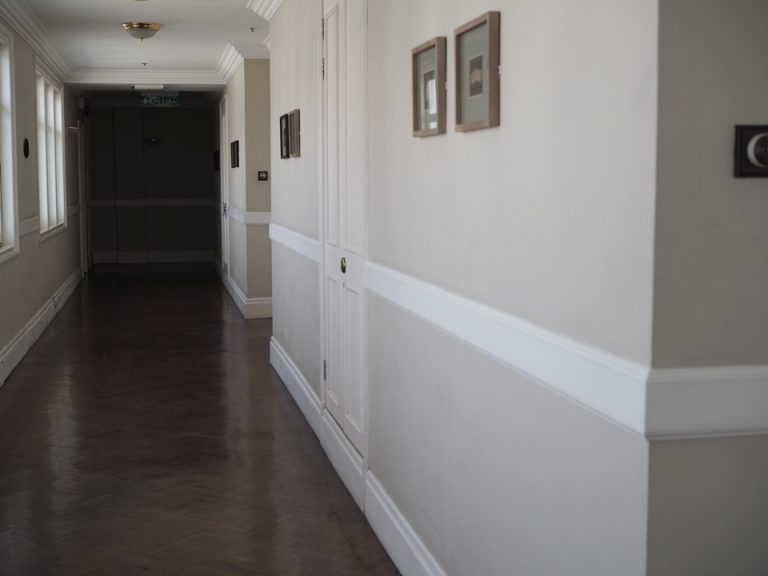 客室入口付近廊下