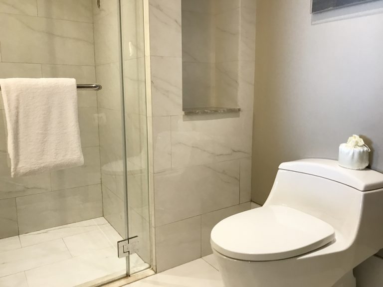 浴室入り口からトイレ1