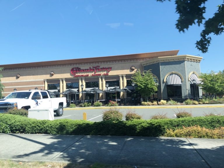 近隣チーズケーキファクトリー