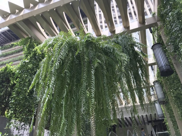 外観 ベンシャリン公園側4