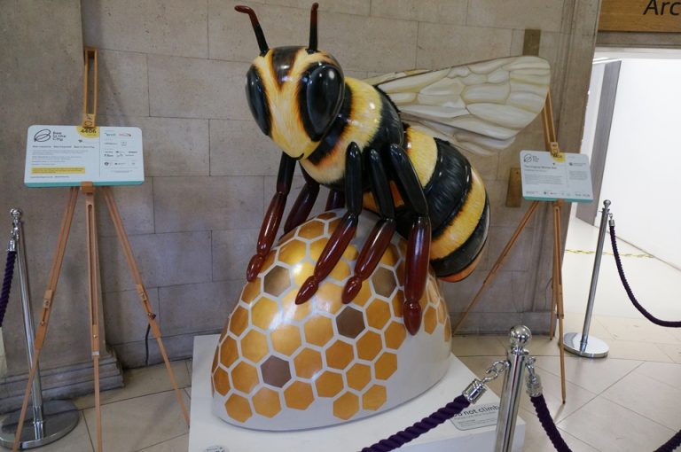 図書館の中のマンチェスタービー