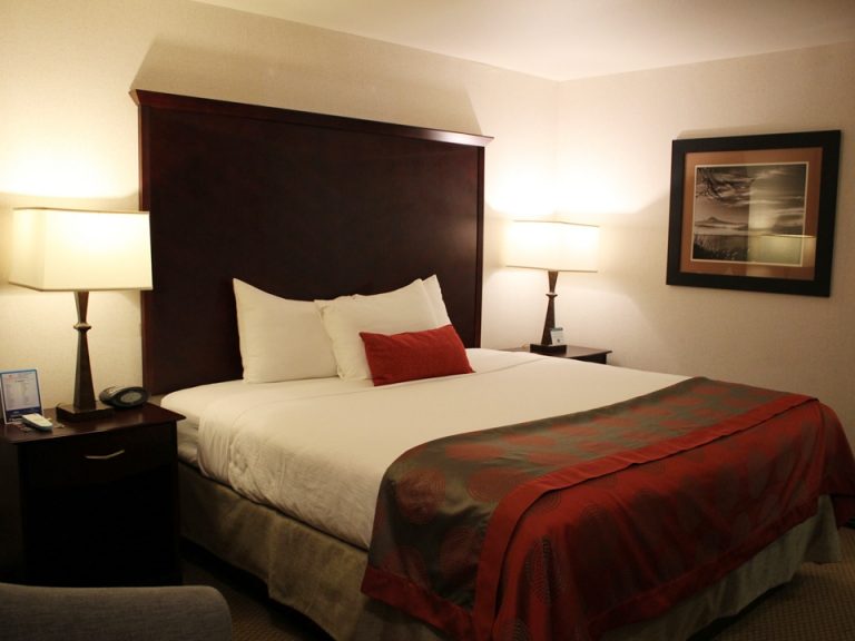 客室全体窓側より