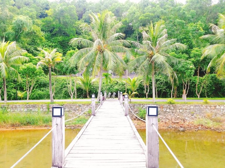 バンガローの入り口からみたら、このような風景です。