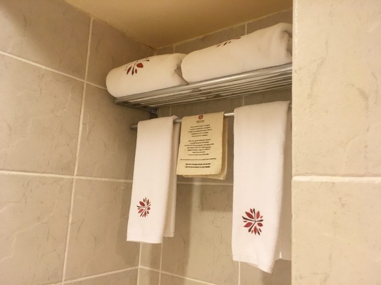 タオルにもロゴが入っています。使い心地も良し。