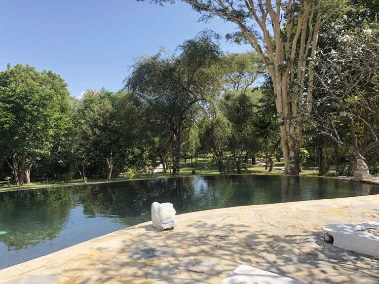 広大な敷地が見渡せます