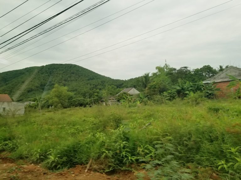 タクシーの窓から撮影しました。ホテルの敷地を出るとこのような風景です。