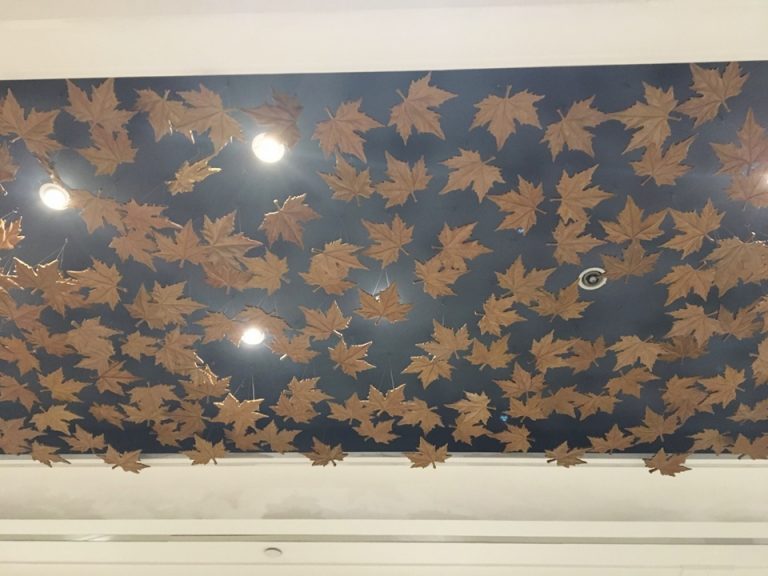 フロント前天井。恐らくプラタナスの葉のモチーフ
