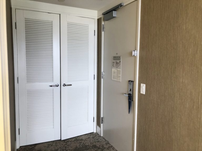 入り口ドアとクローゼット