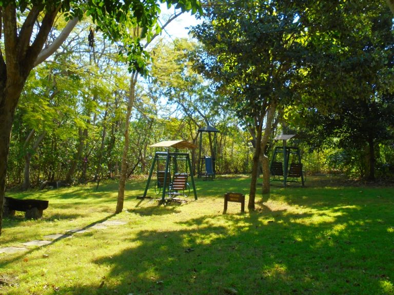 敷地内には小さなお子様も遊べる公園もあります