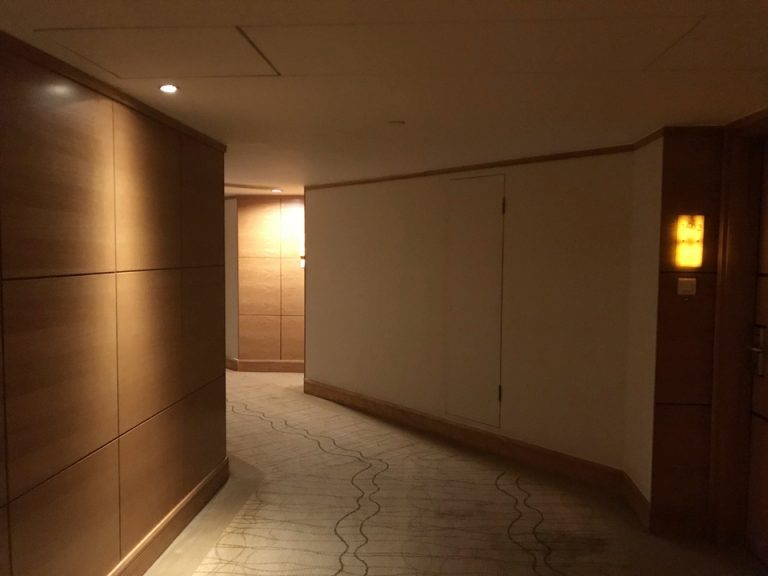 客室フロア(16階)の廊下、暗めで大人の雰囲気ですね。一日中明るさは変わりません