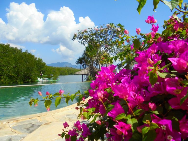 奥はビーチです