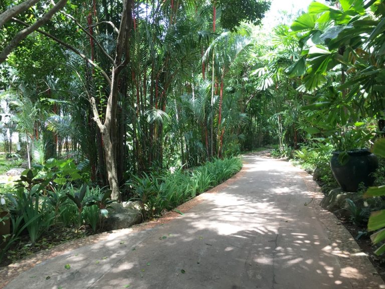 その他_ホテル内 庭