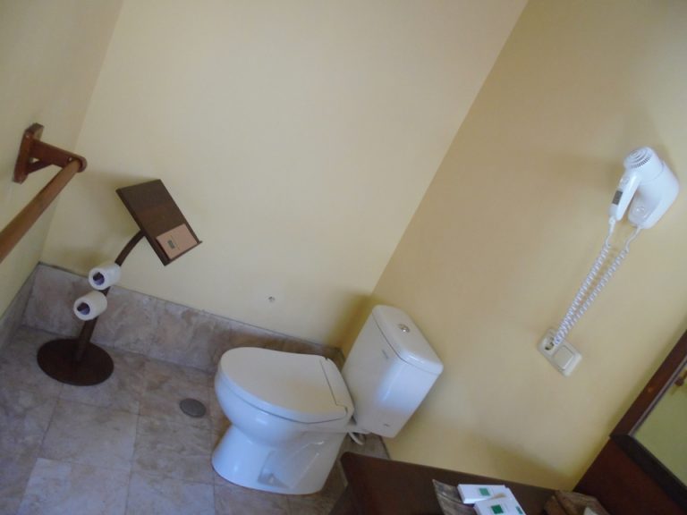 トイレとドライヤー。トイレは開放的です