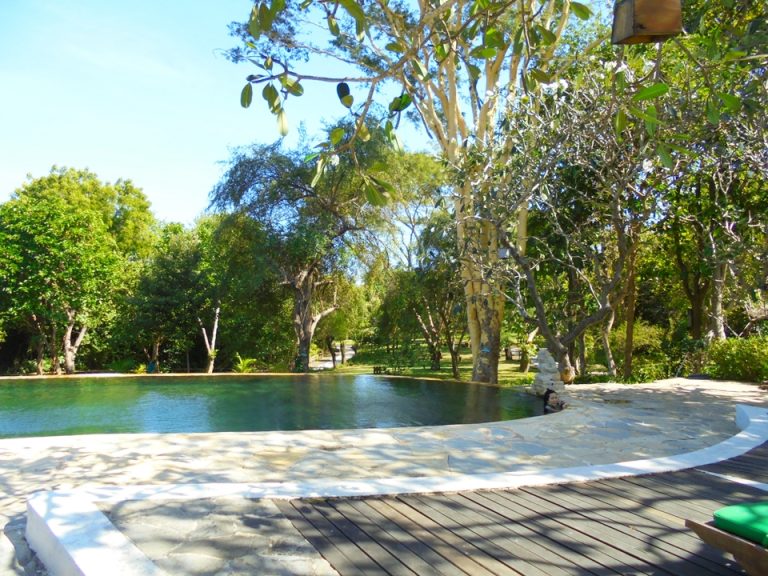 ビーチチェアからの景色