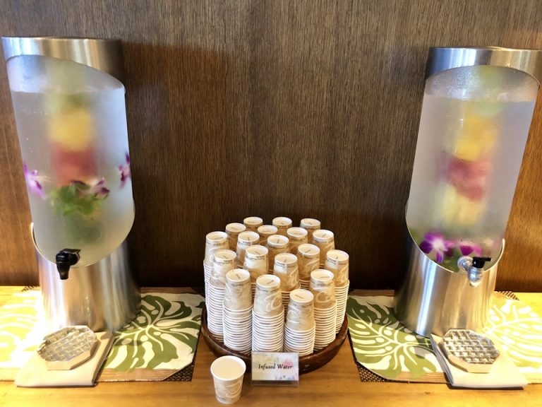 フロント横にフルーツウォーターのサービスがありました。