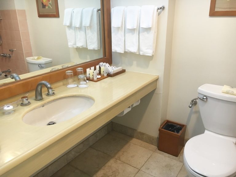 バスルーム入口から全景