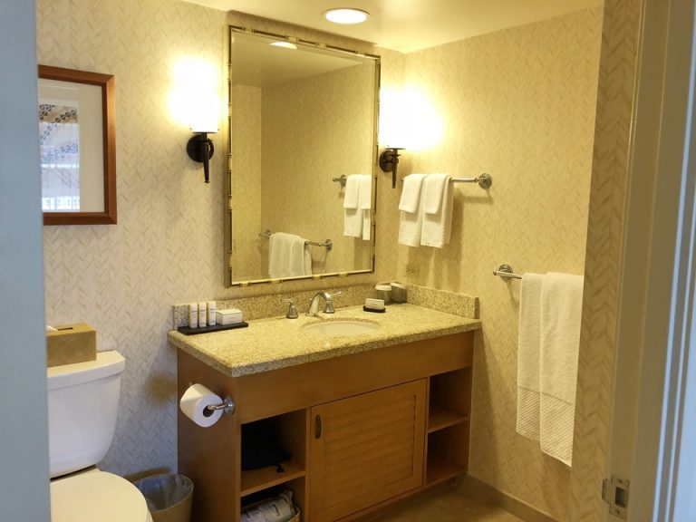 バスルーム入口から全景