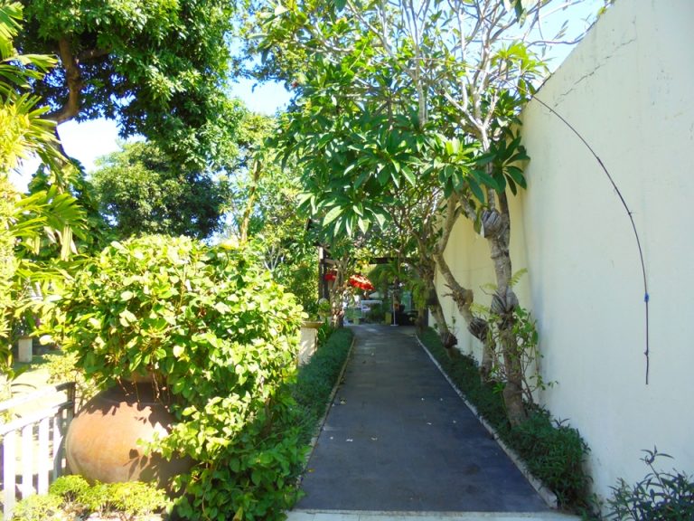 エントランスからレストランに向かう通路。グリーンやお花がたくさんで通るだけでも気持ちがいいです