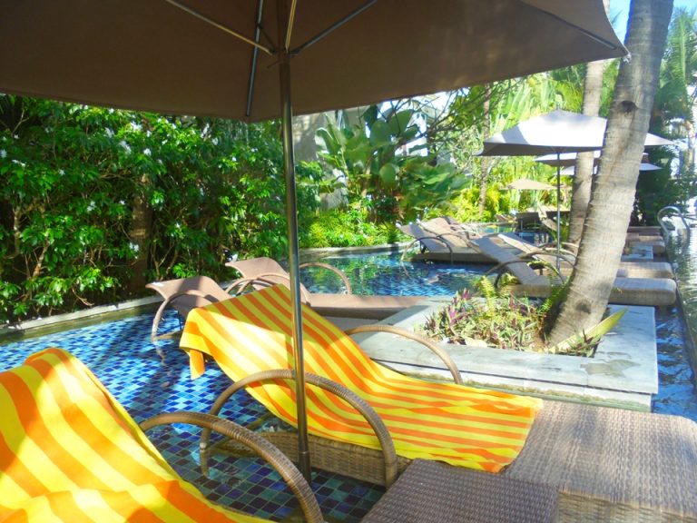 朝の早めから場所取りをされている方が多数