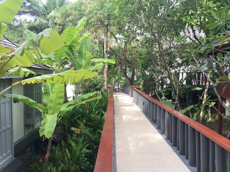 コテージ前の通路。日本では見たことのない植物が沢山生えていて、見るだけでも面白いです