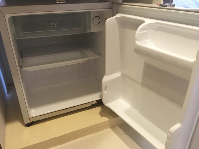 冷蔵庫の中 冷凍あり