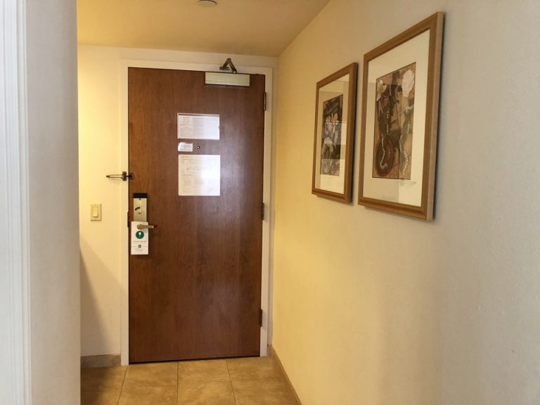 客室入り口内観ドア