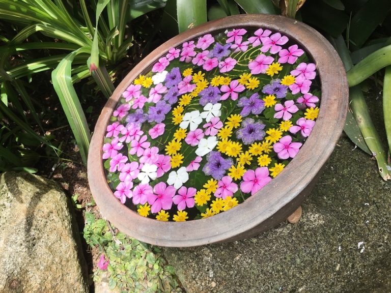 その他_ホテル内 庭 (1)