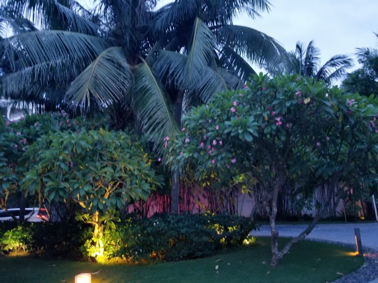 ロータリーです。ここにタクシーが来てくれます。