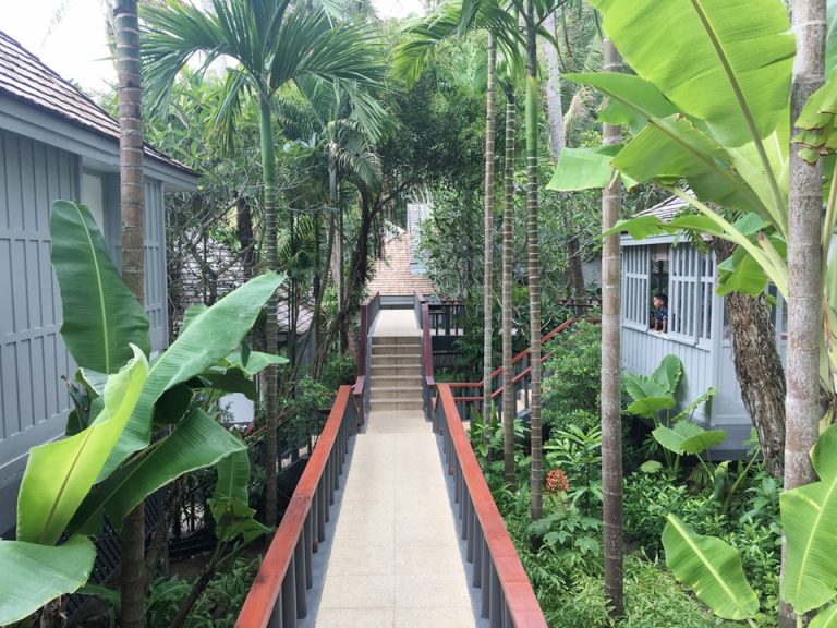 コテージ前の通路