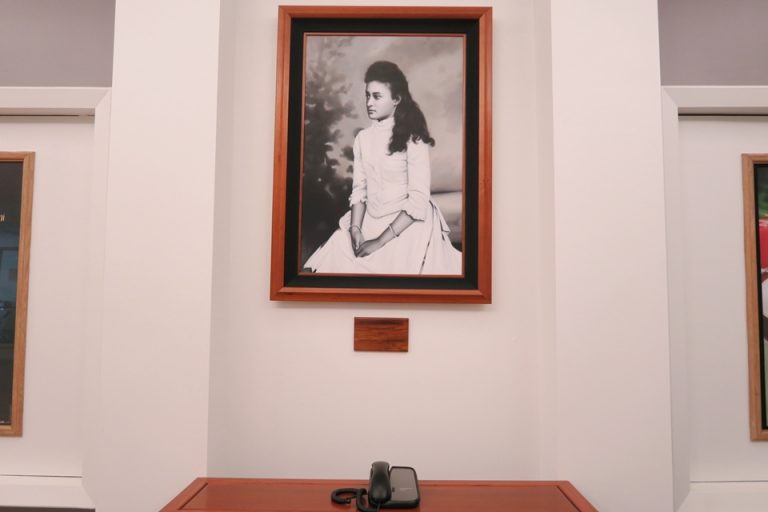 1回エレベーターホールにはプリンセスカイウラニの肖像があります