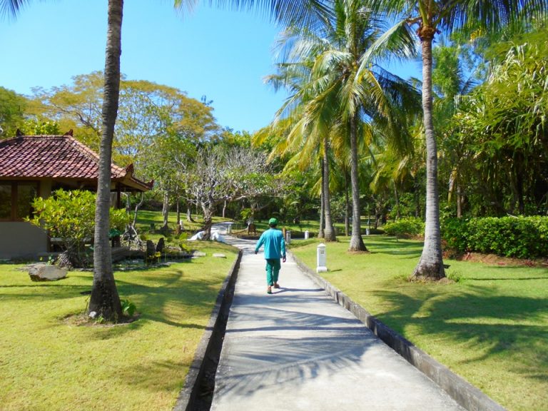かなり広大な敷地ではありますがと徒歩での移動です