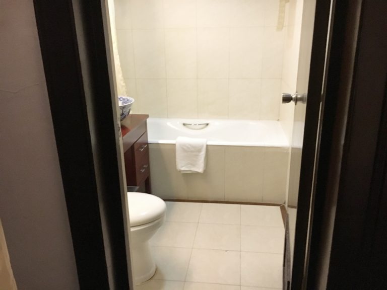 バスルームから入口から全景