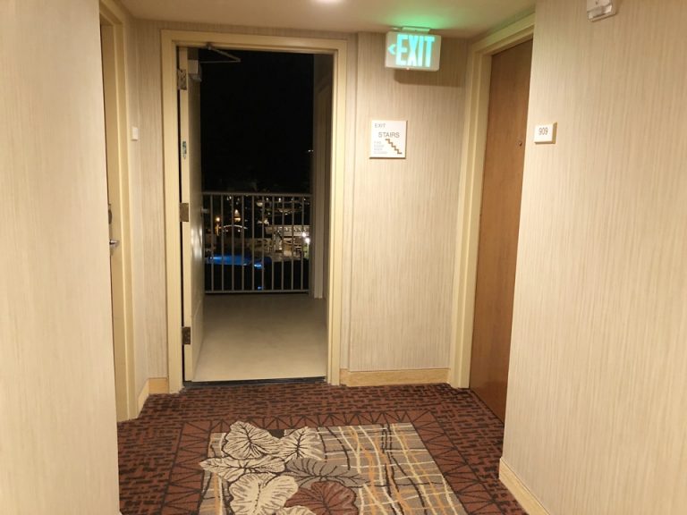 客室入口付近廊下