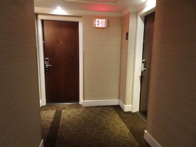 客室入口付近廊下