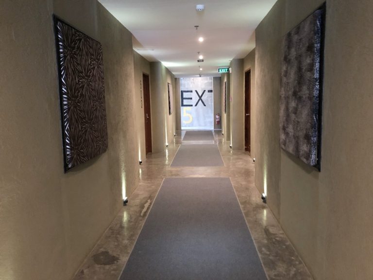 客室入口付近廊下