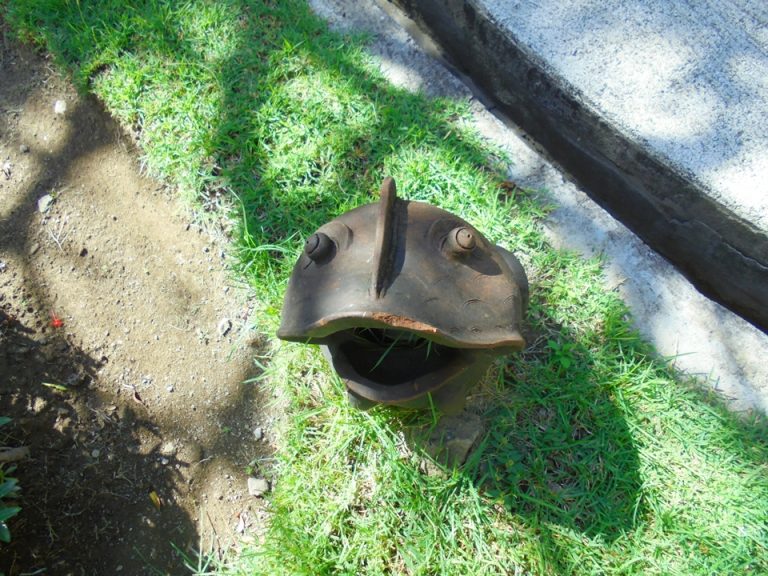 縁起のいいかえるがあちこちに