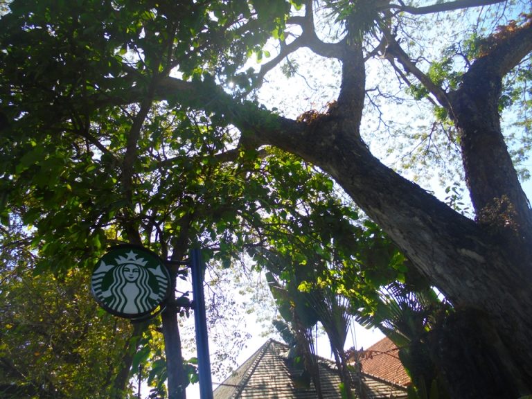 ホテルを出てすぐ左斜め前にあるサヌールのスターバックス