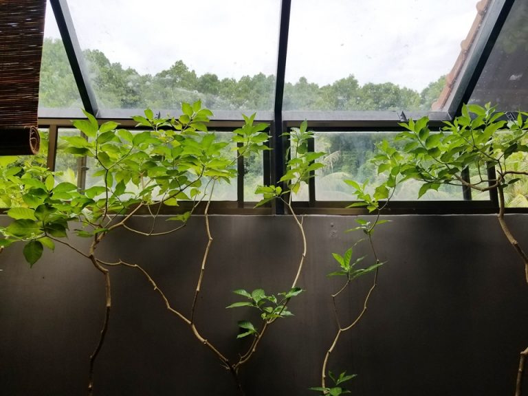 シャワー・トイレルームは窓もあるので屋外ですが安心。