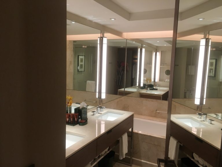 バスルーム外から中を見た様子