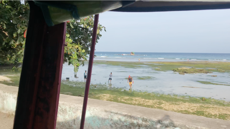 ホテル周辺の海