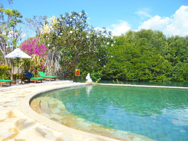 大人のゆったりしたプールです