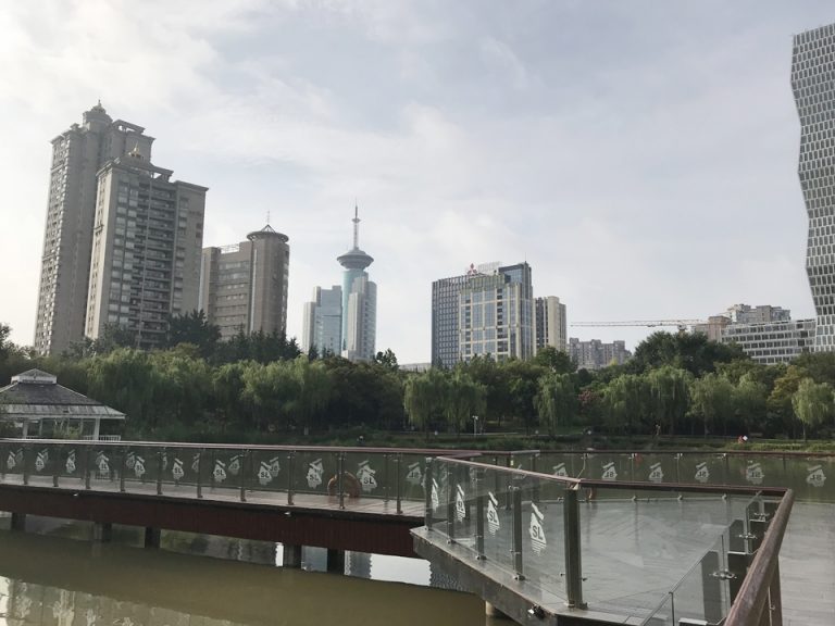 決してきれいな池ではありませんが、水は人を癒します