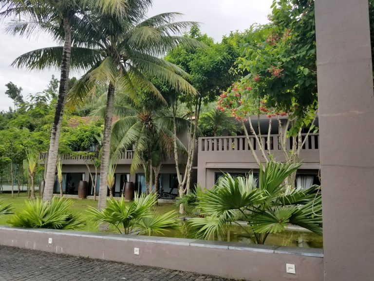 フロント周辺です。南国感の漂う木がたくさんあります。