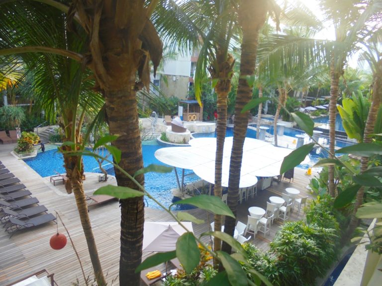 お部屋からの眺め