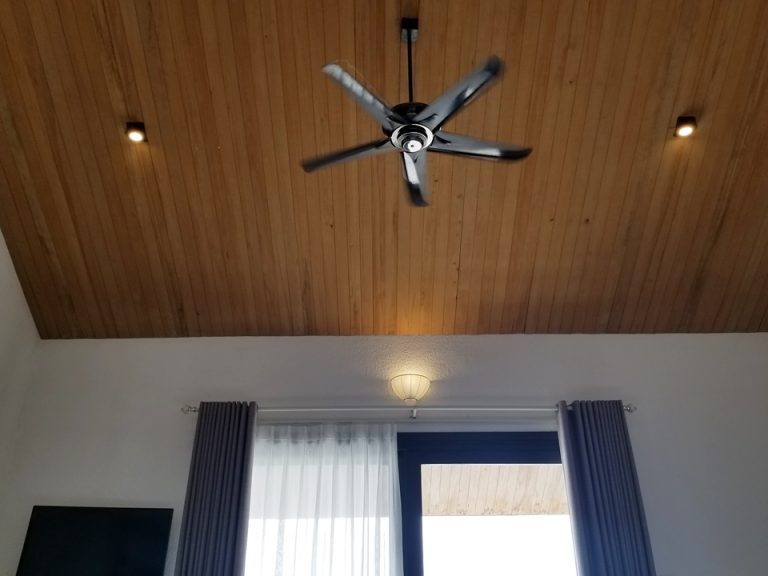 天井です。ファンがあるだけでお洒落に見えます。