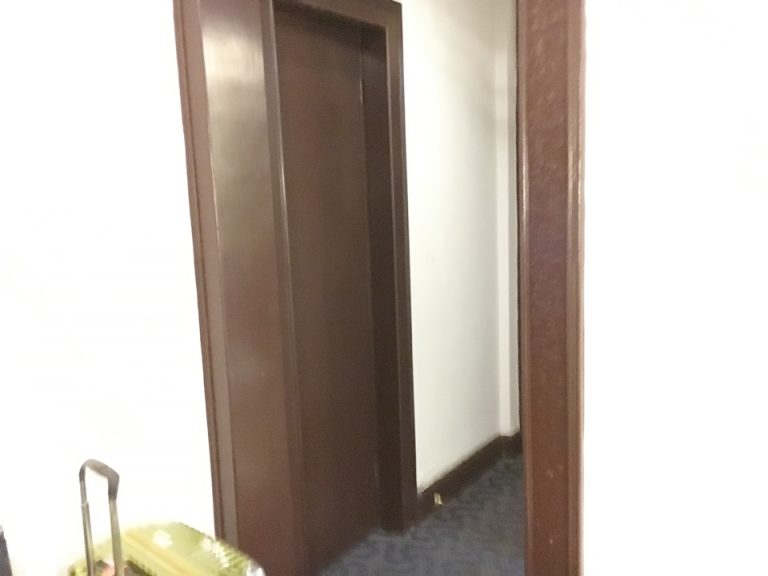 クローゼット外観1